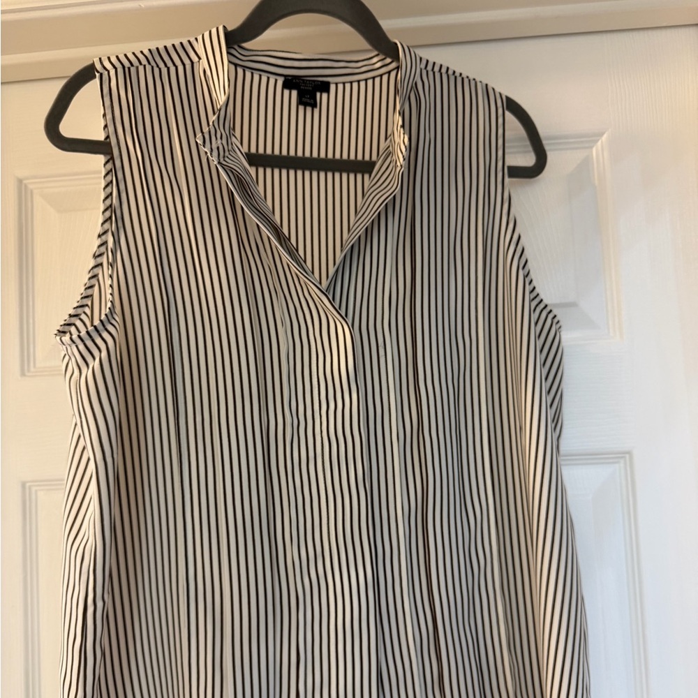Ann Taylor Factory Brown and White Striped Blouse